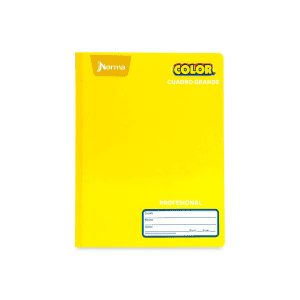 Cuaderno profesional cuadro grande 100 hojas, cosido