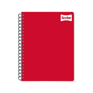 Cuaderno profesional rayado 100 hojas